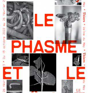Exposition - L'âne, le phasme et le bâton - De Camille Grosperrin