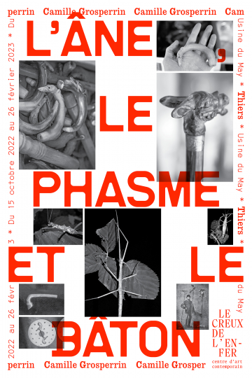 © Exposition - L'âne, le phasme et le bâton - De Camille Grosperrin