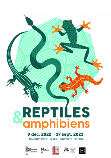 © Visite en famille de l’exposition Reptiles & Amphibiens