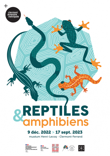 © Reptiles et amphibiens