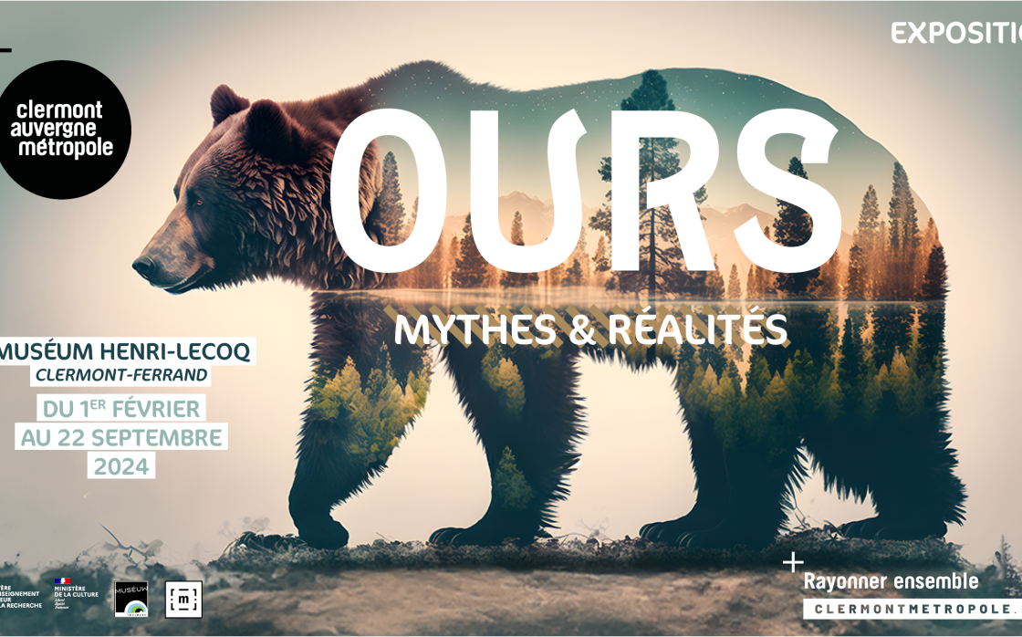 © Ours, mythes et réalités