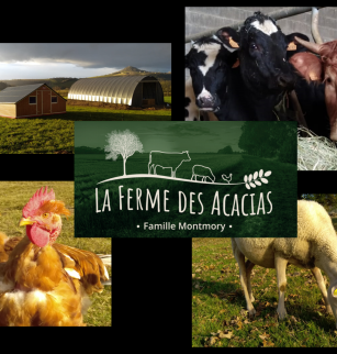 Balade à la ferme : Ferme des Acacias - Gaec Montmory